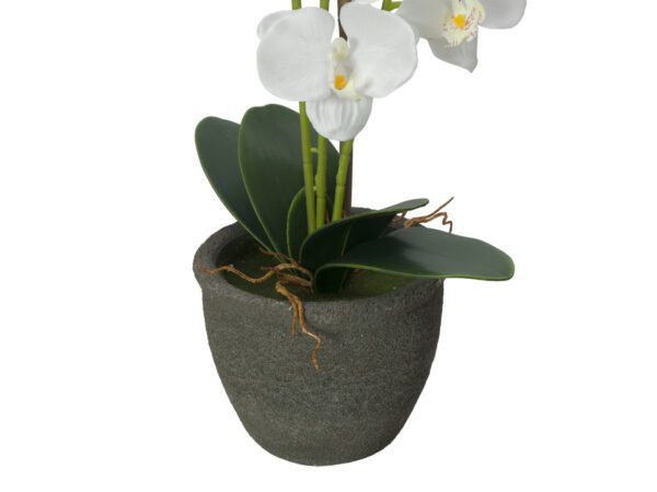 Orchidej s bílými květy, 80 cm - Obrázek 4
