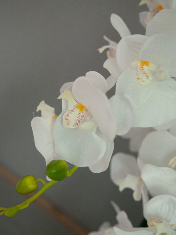 Orchidej s bílými květy, 80 cm - Obrázek 6