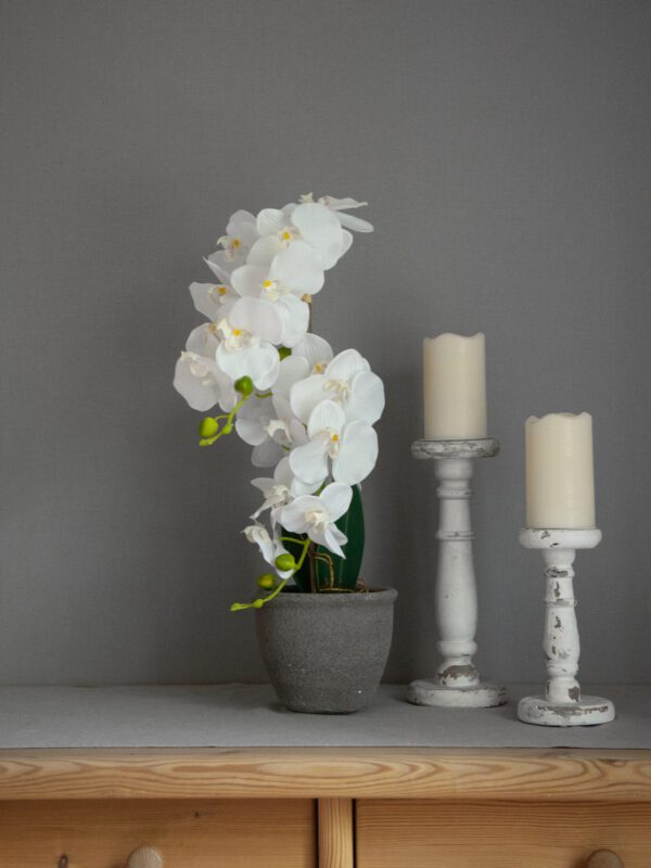 Orchidej s bílými květy, 80 cm - Obrázek 8