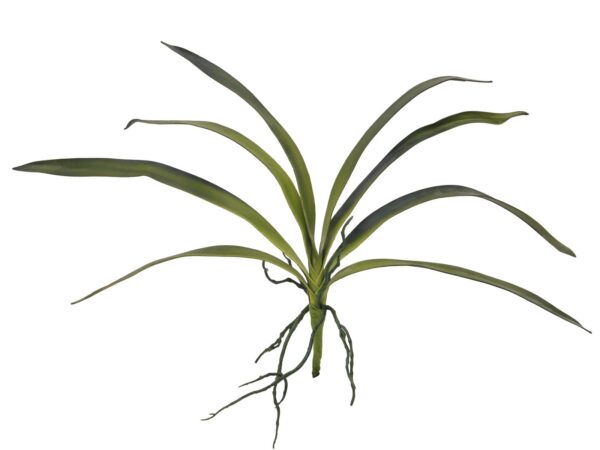 Orchidej listy, zelené, 45 cm