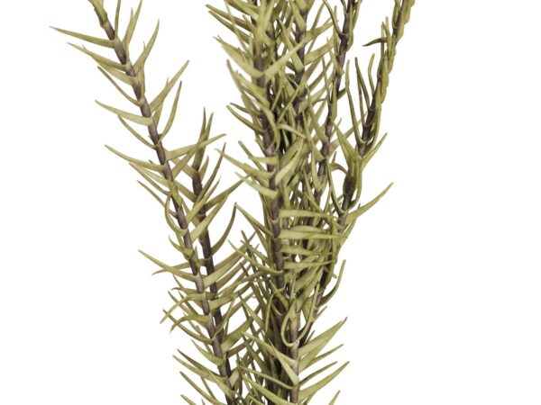 Větvička rozmarýn (EVA), zelená, 120 cm - Image 2
