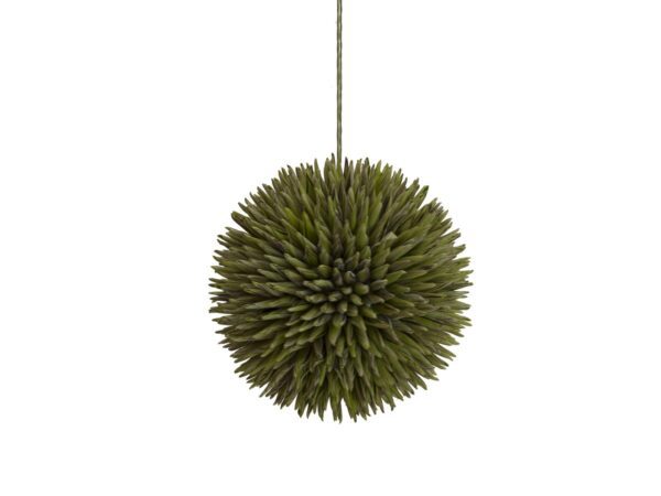 Sukulent koule (EVA), zelená, 20 cm