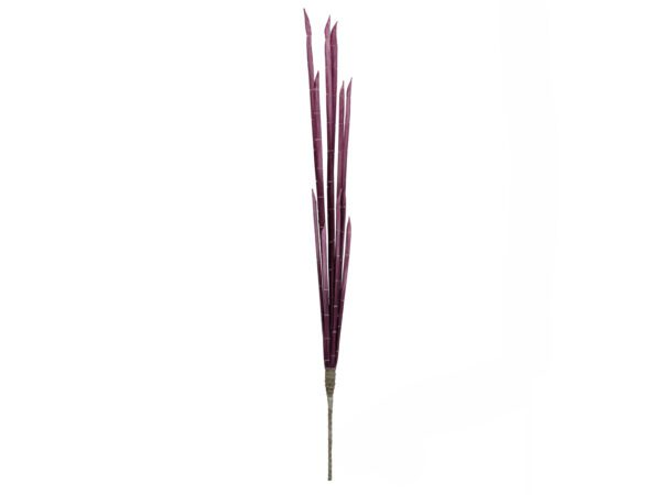 Magické stonky cibule růžové, 134 cm