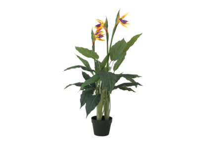 Europalms Rajský květ, 90cm