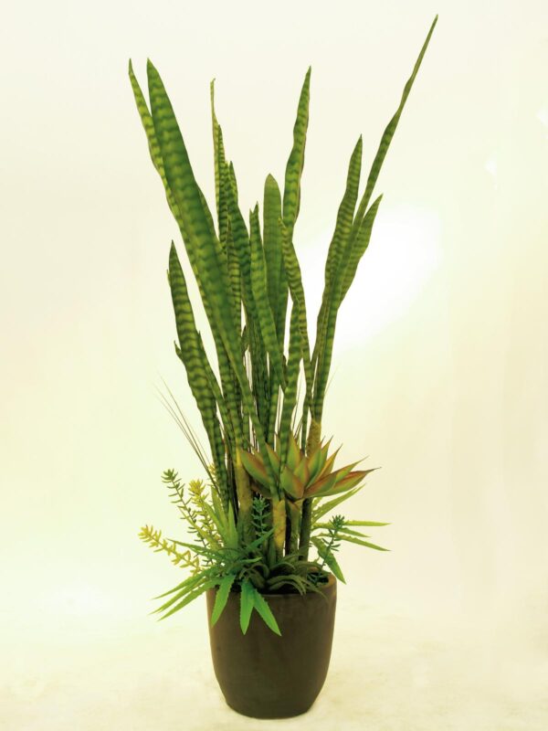 Sukulent mix, 190 cm - Obrázek 2