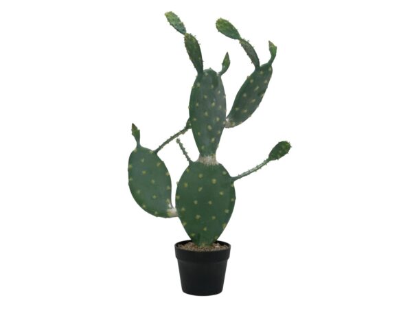 Kaktus Nopal, 76cm