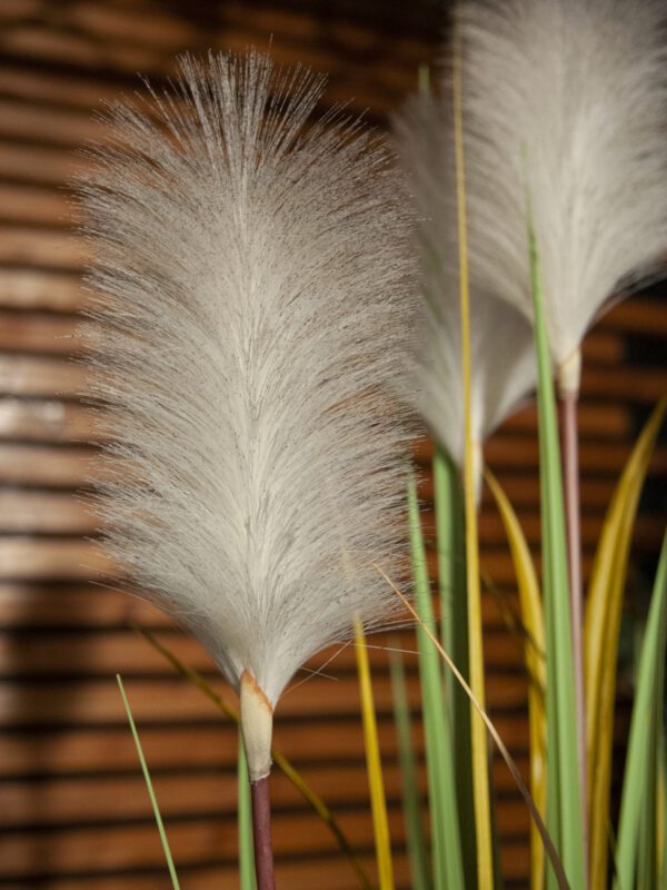 Tráva divoká, 120 cm - Image 5