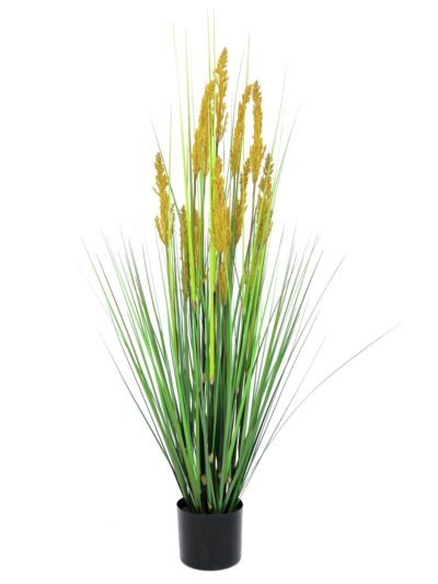 Polní tráva s klasy, 120 cm