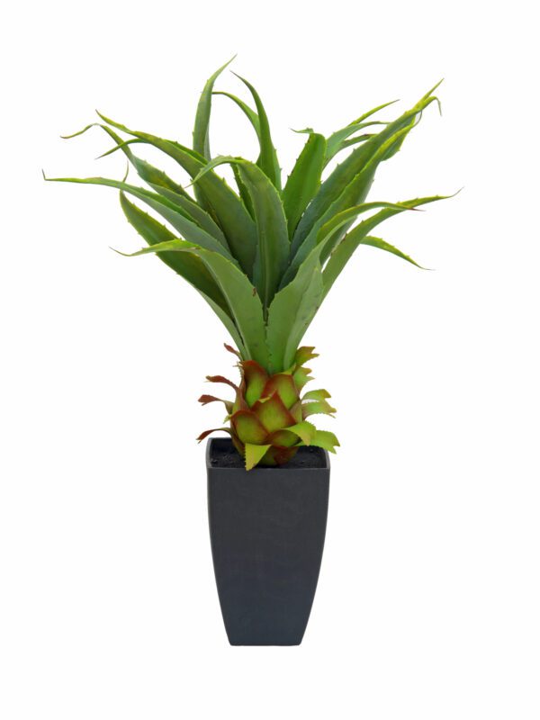 Agave kaktus s květináčem, 75 cm