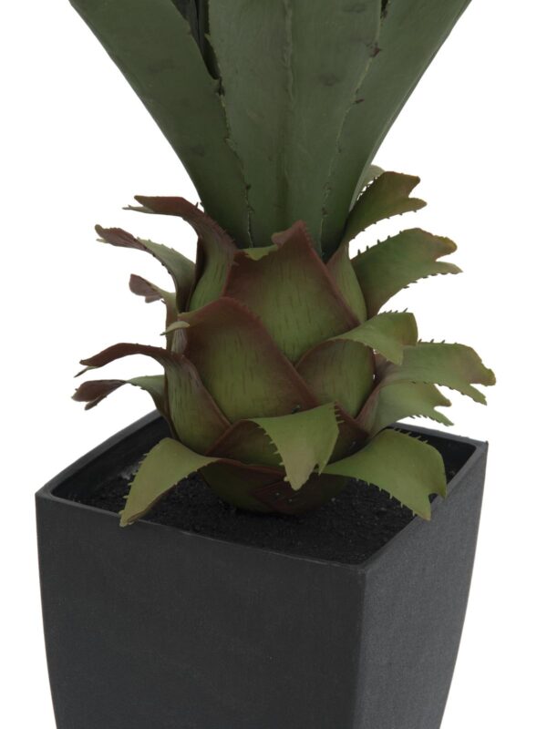Agave kaktus s květináčem, 75 cm - Image 2
