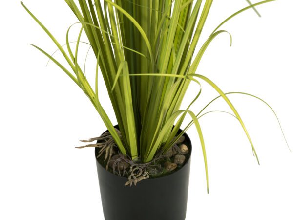 Jasmínová tráva s bílými květy, 130 cm - Image 3