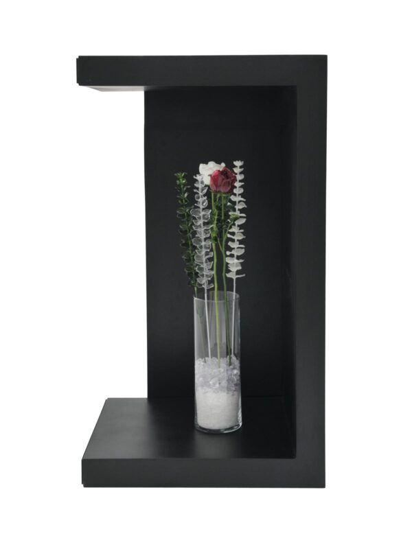 Eukalyptus bílý - křišťálový, 81 cm, 12 ks - Image 3