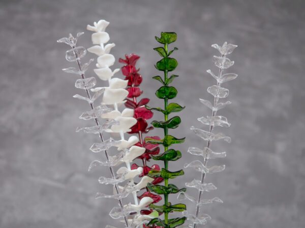 Eukalyptus bílý - křišťálový, 81 cm, 12 ks - Image 8