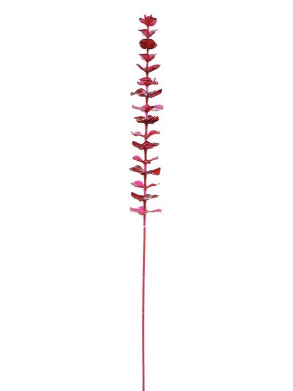 Eukalyptus červený - křišťálový, 81 cm, 12 ks - Image 2