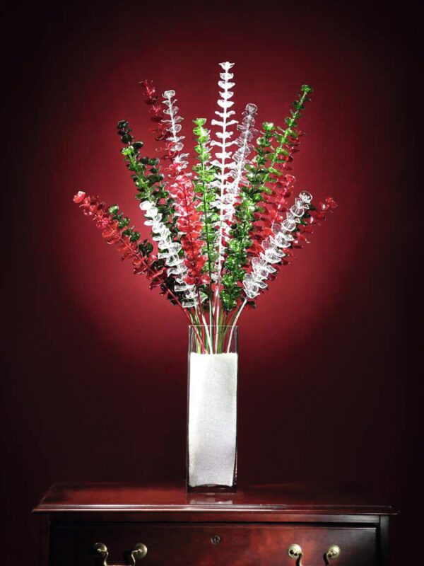 Eukalyptus červený - křišťálový, 81 cm, 12 ks - Image 5