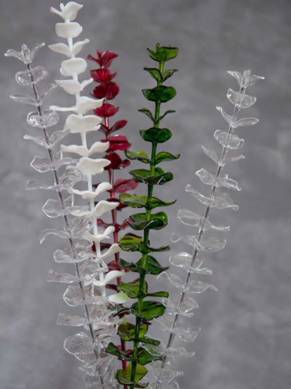 Eukalyptus červený - křišťálový, 81 cm, 12 ks - Image 7