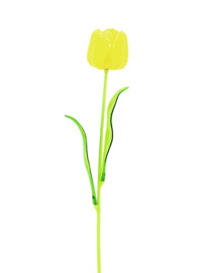 Tulipán žlutý – křišťálový, 61 cm, 12 ks