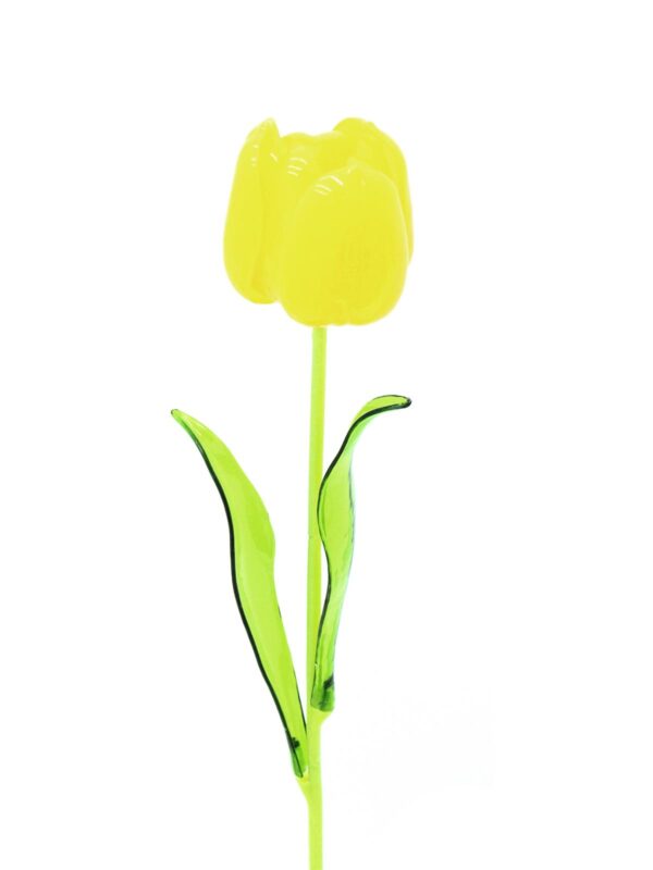 Tulipán žlutý – křišťálový, 61 cm, 12 ks - Obrázek 2