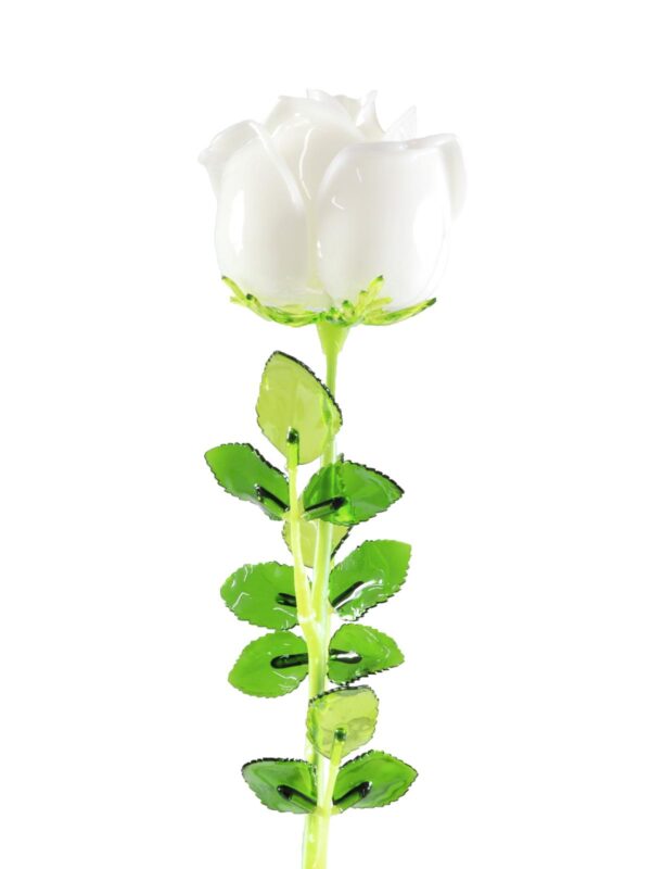 Růže bílá, křišťálová 81cm, 12ks - Image 2