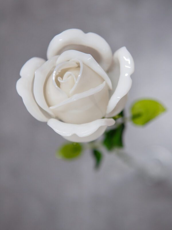 Růže bílá, křišťálová 81cm, 12ks - Image 7