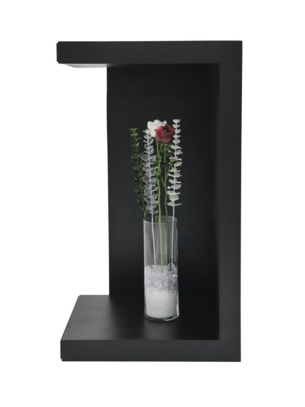 Růže čirá, křišťálová 81cm, 12ks - Image 2