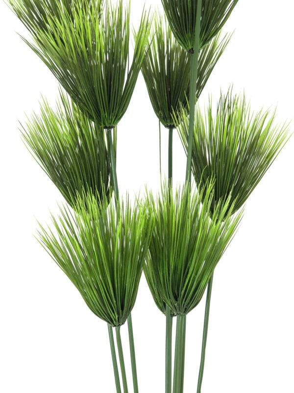 Papyrus palma, 150 cm - Image 2