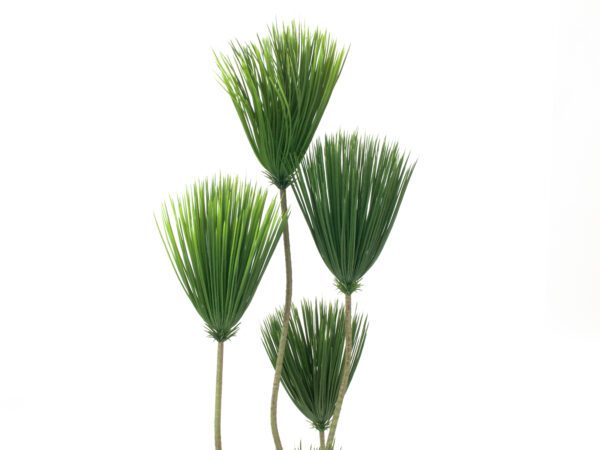 Papyrus palma, 130 cm - Image 3