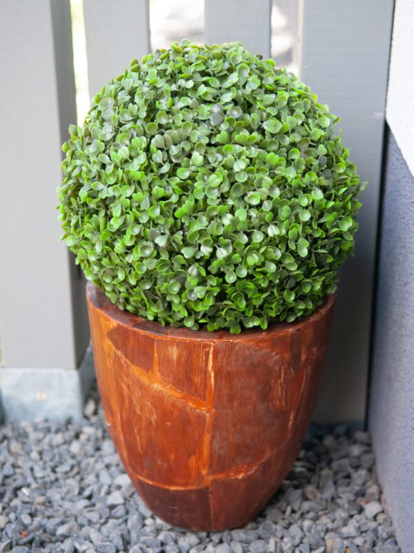 Zimostráz koule 25 cm - Image 7