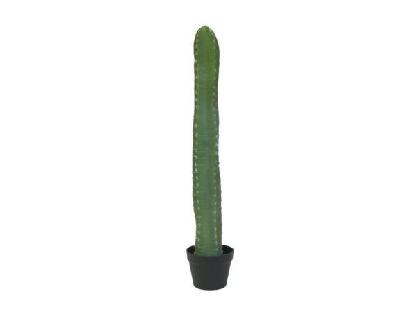 Mexický kaktus zelený, 97 cm