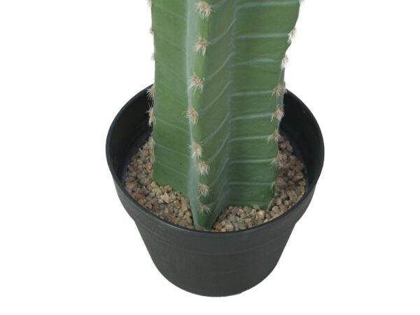 Mexický kaktus zelený, 97 cm - Image 2