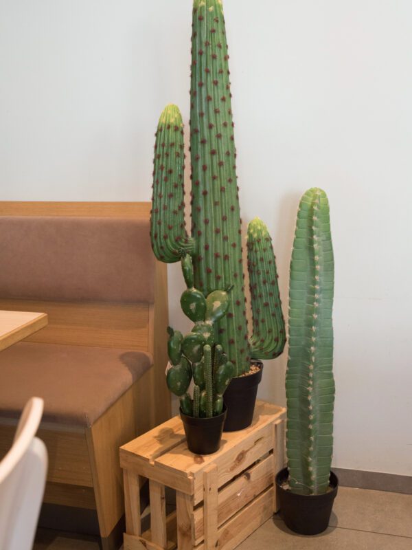 Mexický kaktus zelený, 97 cm - Image 4