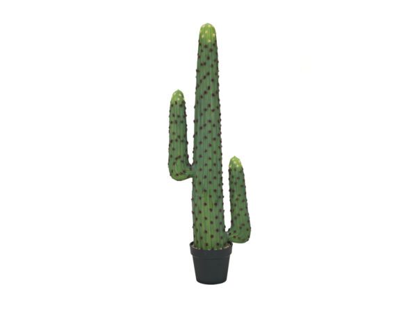 Mexický kaktus zelený, 117 cm