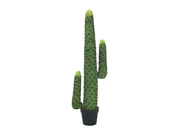 Mexický kaktus zelený, 117 cm - Image 2