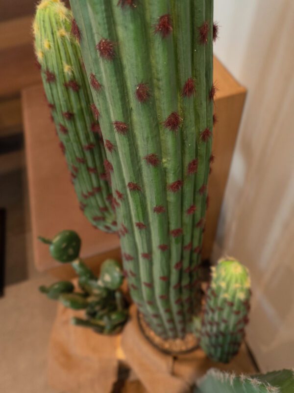 Mexický kaktus zelený, 117 cm - Image 8