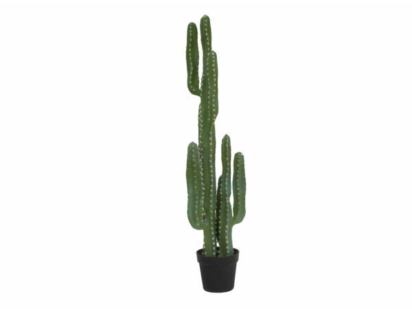 Mexický kaktus zelený, 123 cm - Image 2