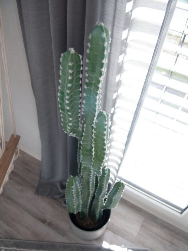 Mexický kaktus zelený, 123 cm - Image 6