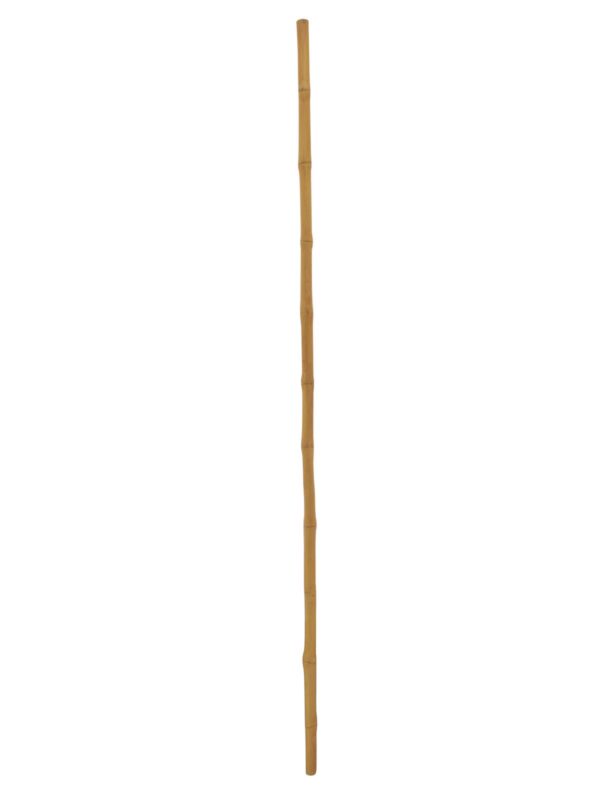Tyč bambusová, prům.3cm, délka 200cm
