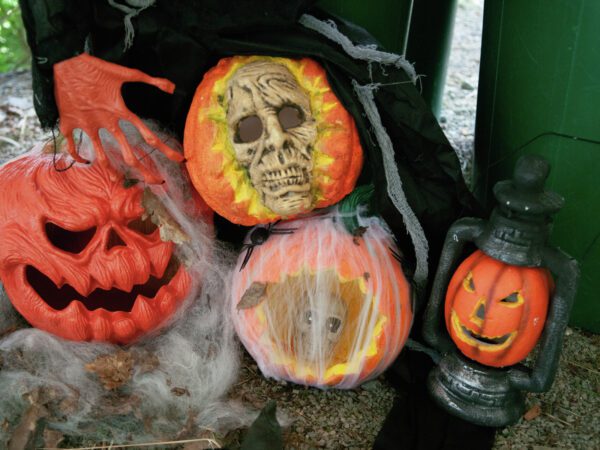 Halloween dýňová lebka, 26 cm - Image 6