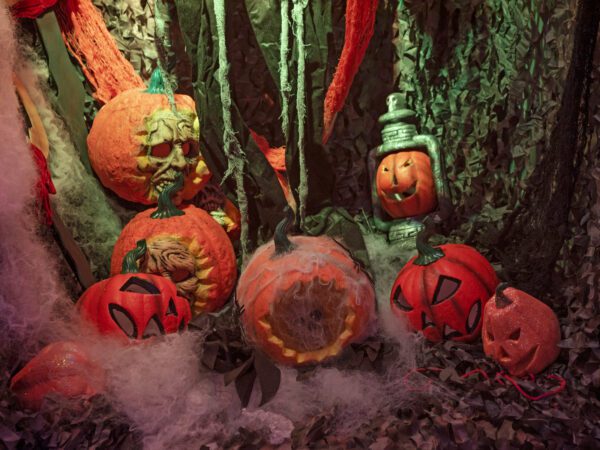Halloween dýně v pavoučí síti s LED lebkou, 25 cm - Image 3