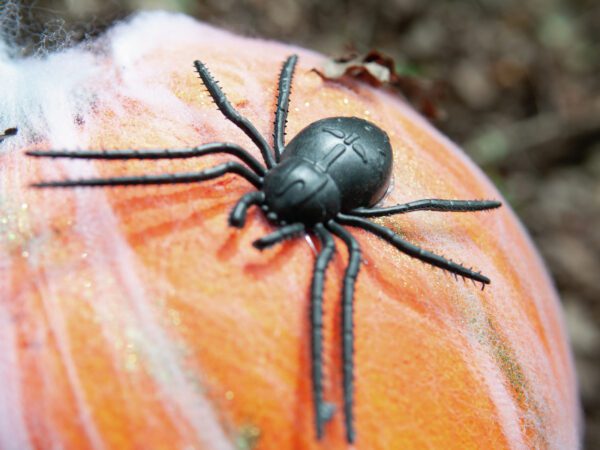 Halloween dýně v pavoučí síti s LED lebkou, 25 cm - Image 4
