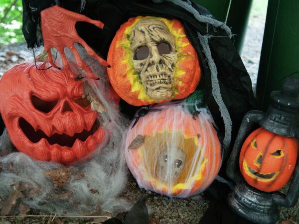Halloween dýně v pavoučí síti s LED lebkou, 25 cm - Image 5