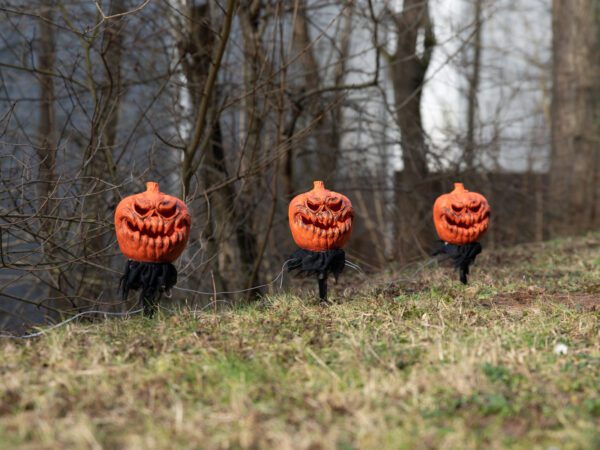 Halloweenské svítící dýně s kolíky, sada 3 ks, 39 cm - Image 3