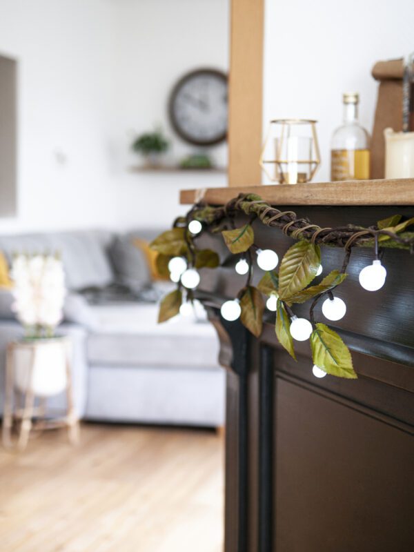 Vřesový motouz, s bílými LED diodami, 180 cm - Obrázek 6