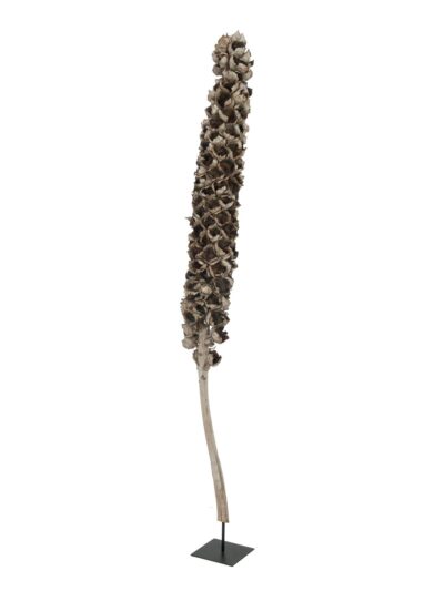 Cacho Coco z babassu palmy, délka 120-190 cm