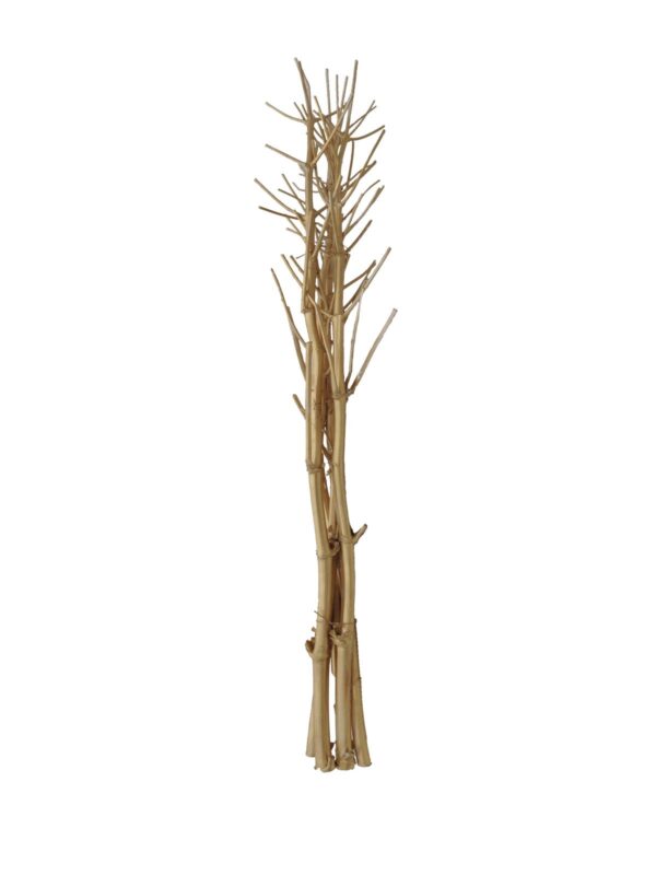 Suché větvičky fenyklu, zlatá, 160 cm