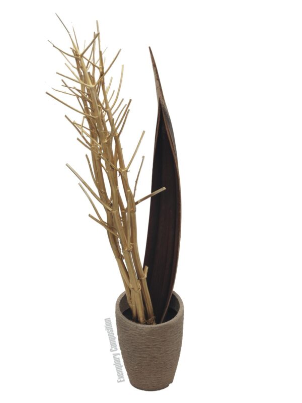 Suché větvičky fenyklu, zlatá, 160 cm - Image 4