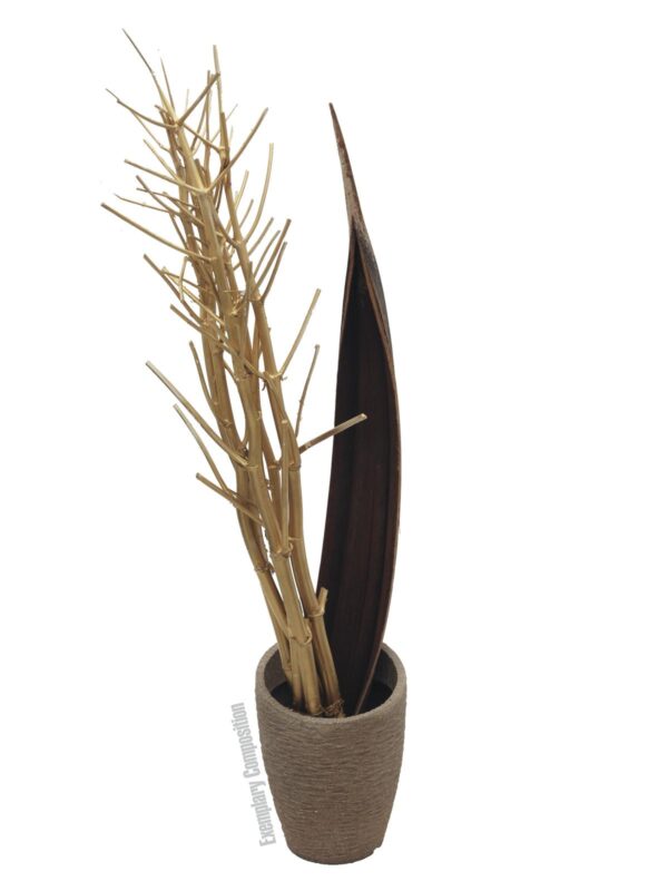 Suché větvičky fenyklu, zlatá, 160 cm - Image 5