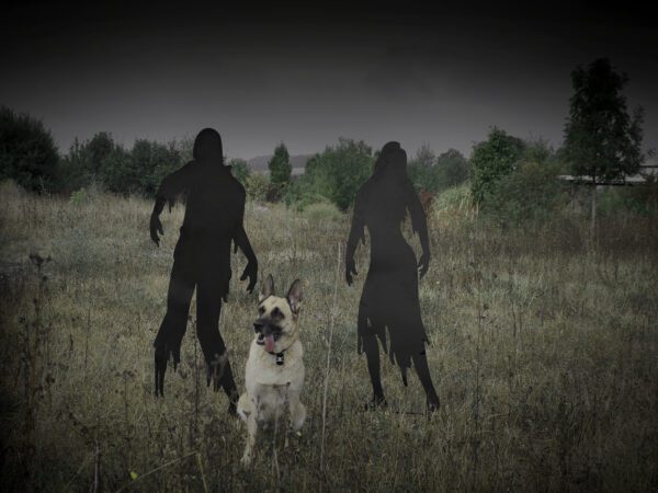 Kovová silueta zombie ženy, černá, 135 cm - Image 5