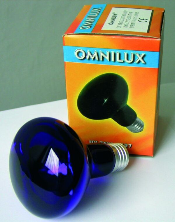 Omnilux R80 230V/75W E-27, UV - Image 5