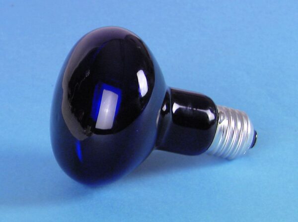 Omnilux R80 230V/75W E-27, UV - Image 6